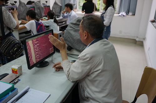 �۲�С����΢�ṹ